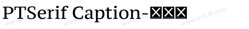 PTSerif Caption字体转换 PTSerif Caption字体转换